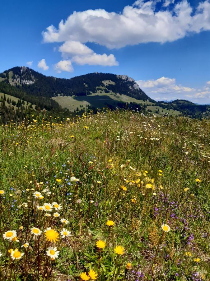 Fewo Niederndorferberg Esterno foto
