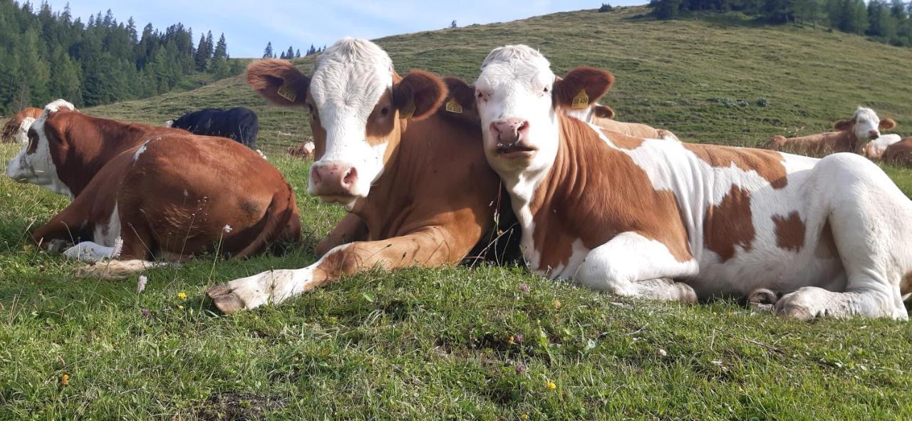 Fewo Niederndorferberg Esterno foto